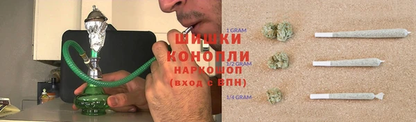 шишки Козловка