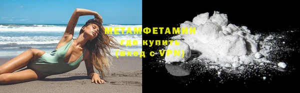 шишки Козловка