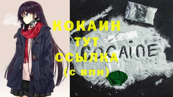 прущие грибы Козельск