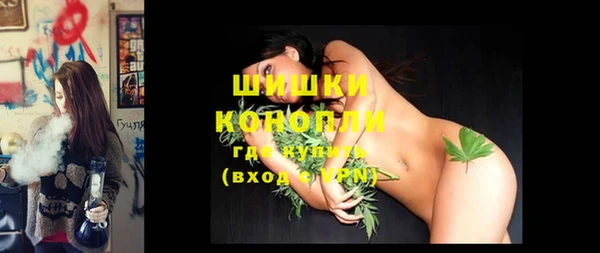 шишки Козловка