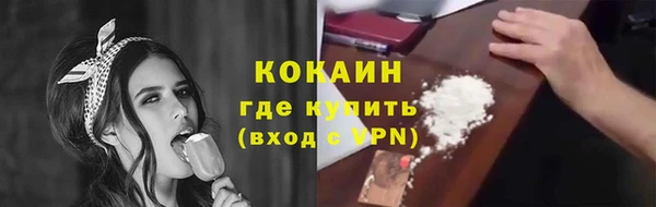 прущие грибы Козельск