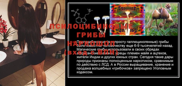 шишки Козловка