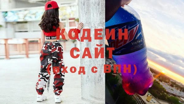 шишки Козловка