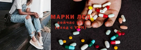 прущие грибы Козельск