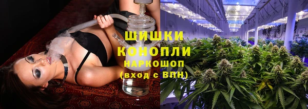 шишки Козловка