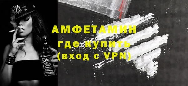 прущие грибы Козельск