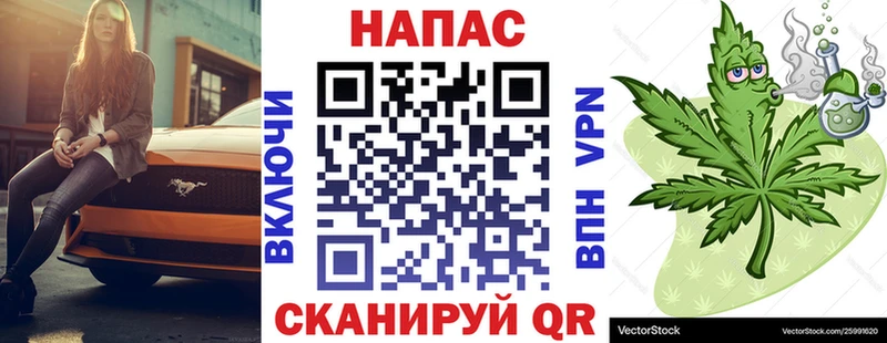 Купить закладки  Никольское  Шишки марихуана сатива 